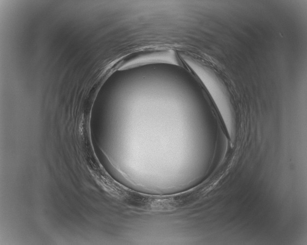 X0000080801161200701051412