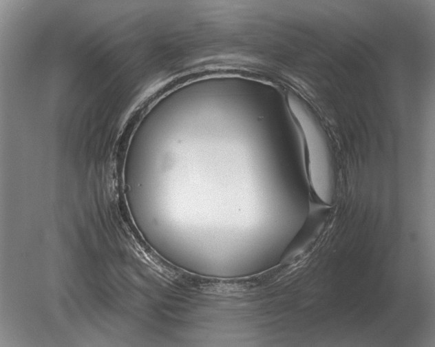 X0000080801164200701051412