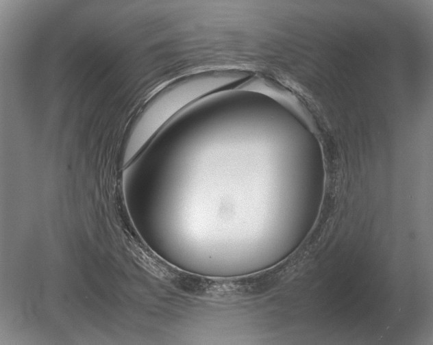 X0000080801169200701051412
