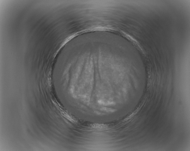 X0000080801170200701051412