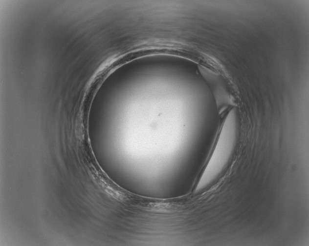 X0000080801172200701051412