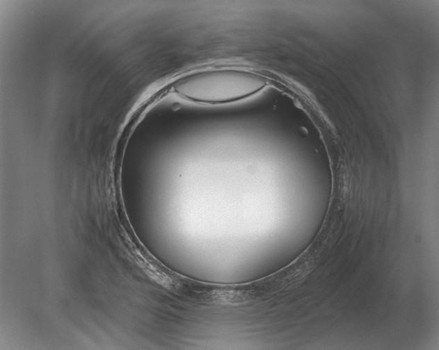 X0000080801176200701051412