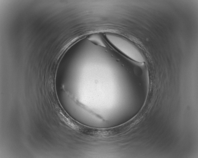 X0000080801177200701051411