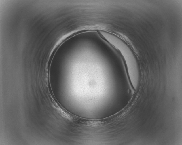 X0000080801184200701051411