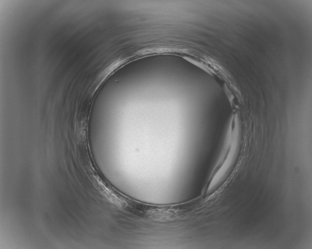 X0000080801185200701051411