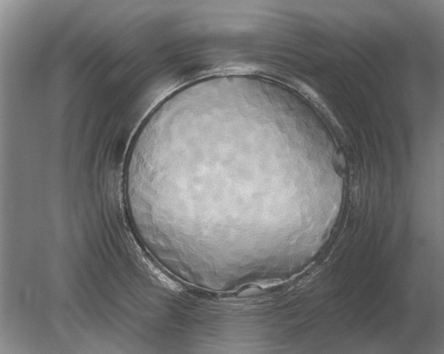 X0000080801186200701051411