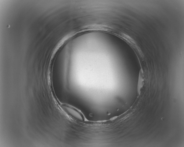 X0000080801188200701051411