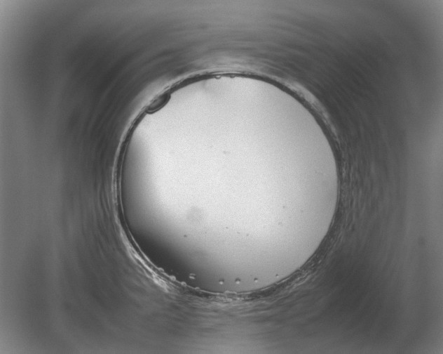 X0000080801191200701051411