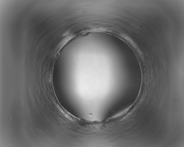 X0000080801193200701051411