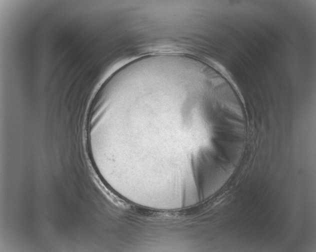 X0000080801195200701051411