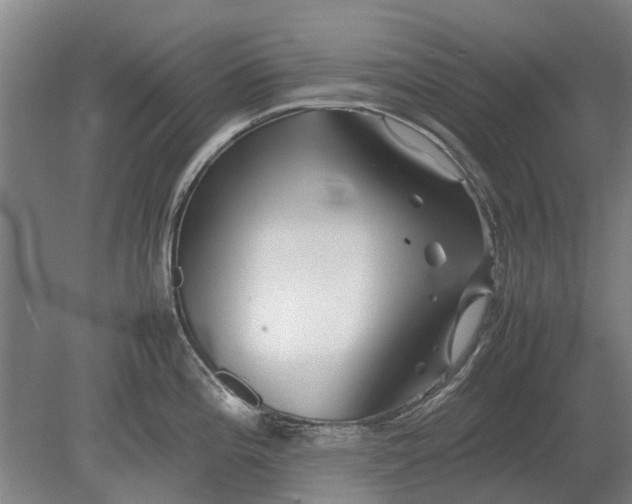 X0000080801196200701051411