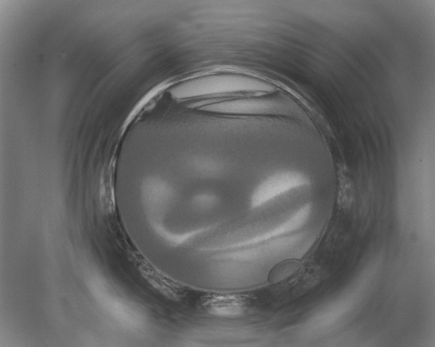 X0000080801198200701051411
