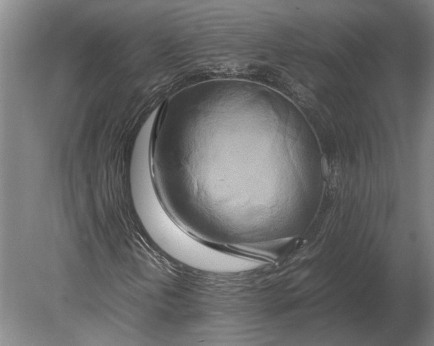 X0000080801202200701051410