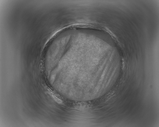 X0000080801208200701051410