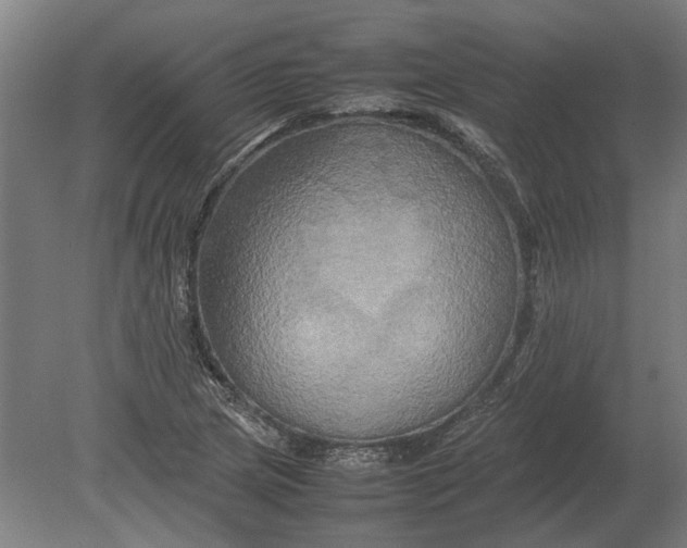 X0000080801217200701051411