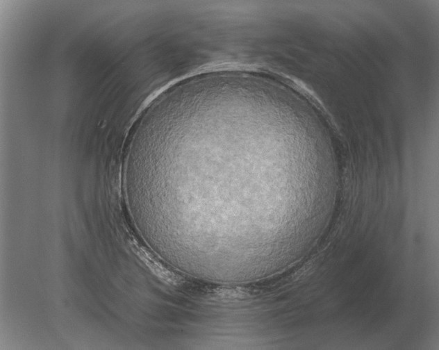 X0000080801220200701051411