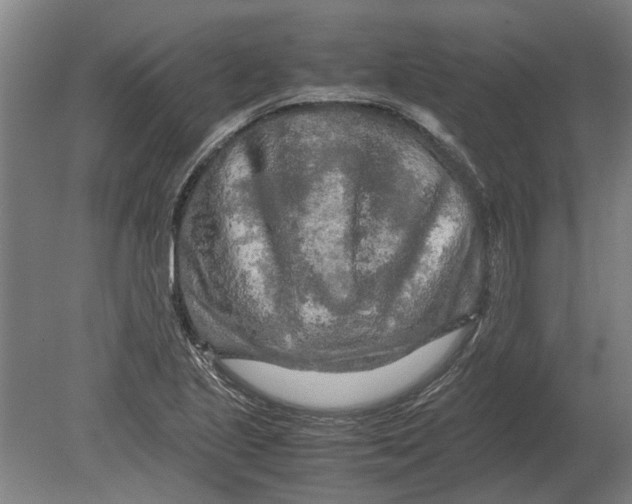 X0000080801221200701051411