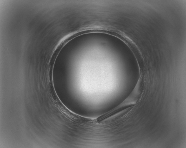 X0000080801222200701051411