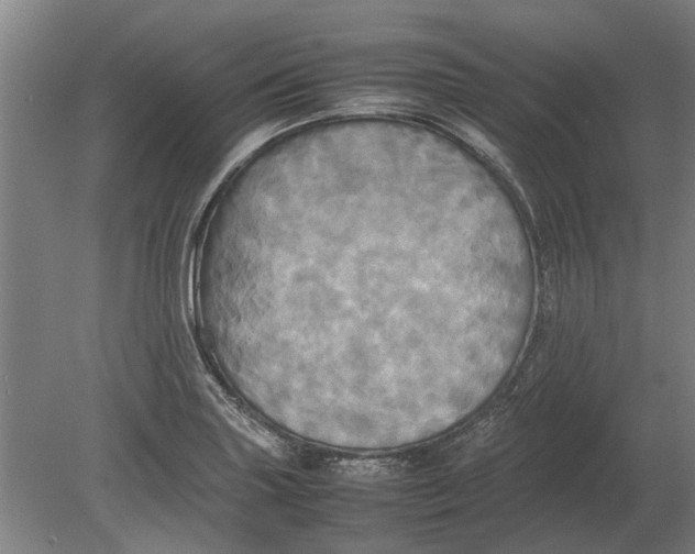 X0000080801227200701051411