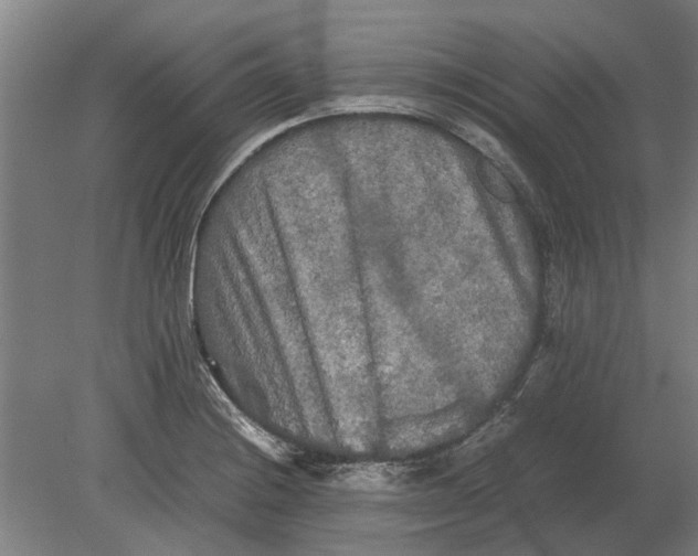 X0000080801228200701051411