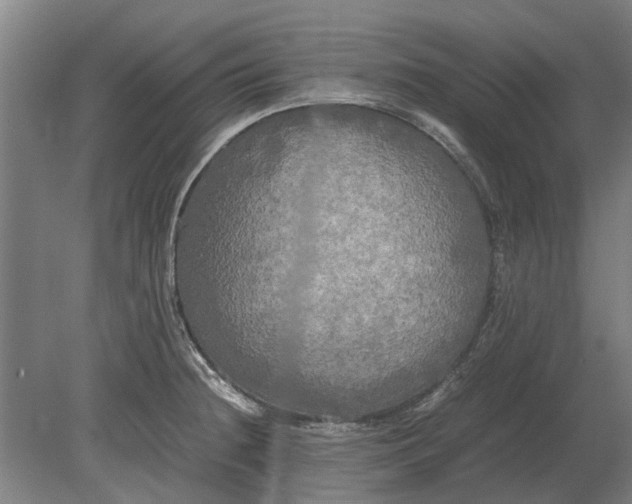 X0000080801236200701051411