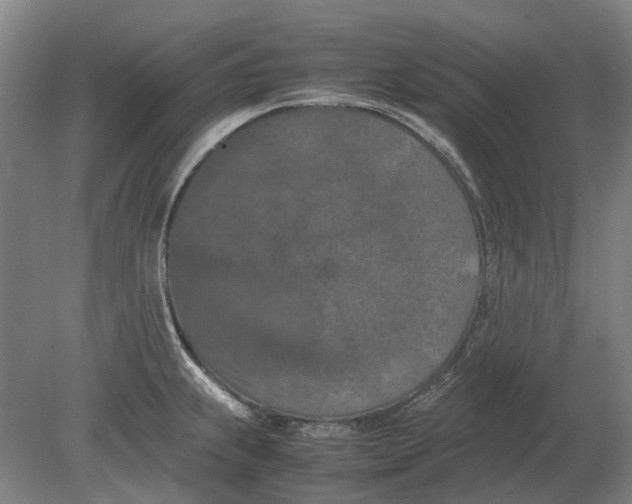 X0000080801239200701051411