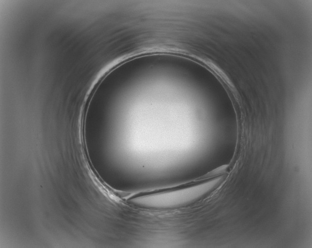 X0000080801246200701051411