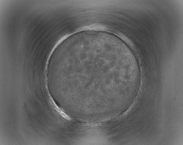 X0000080801248200701051411
