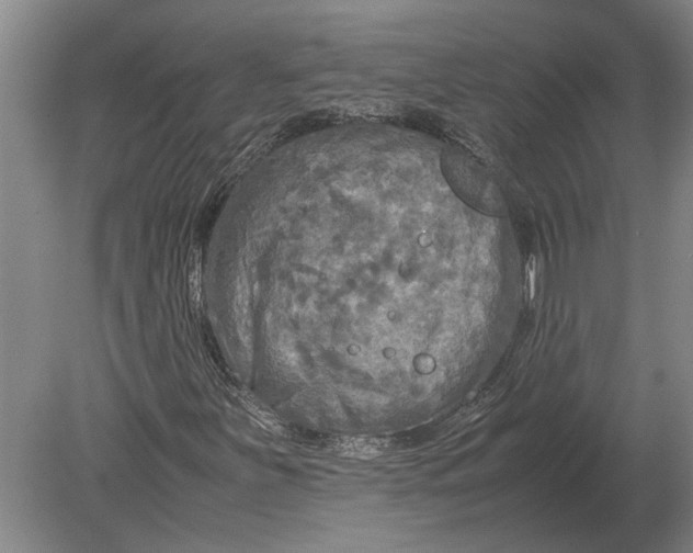 X0000080801251200701051410