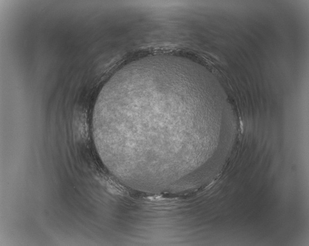 X0000080801252200701051410