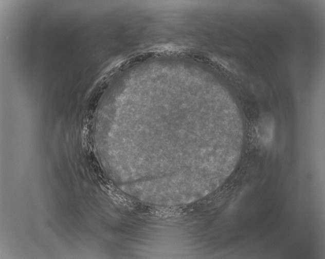 X0000080801254200701051410