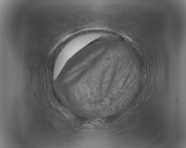 X0000080801255200701051410