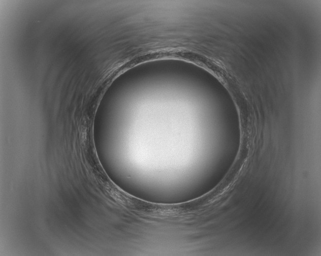 X0000080801257200701051410