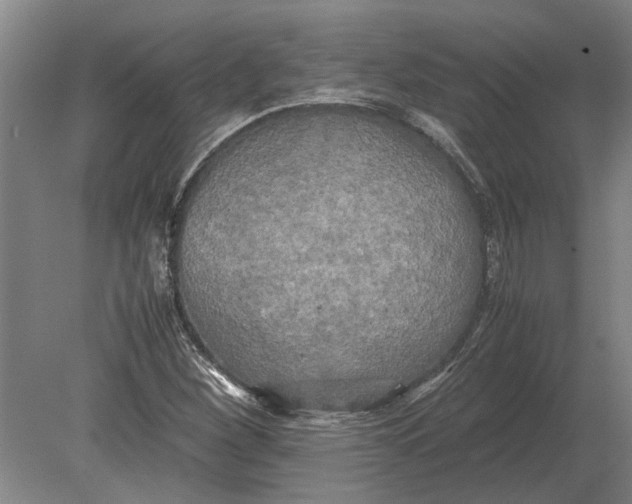 X0000080801260200701051410