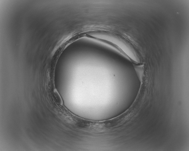 X0000080801261200701051410