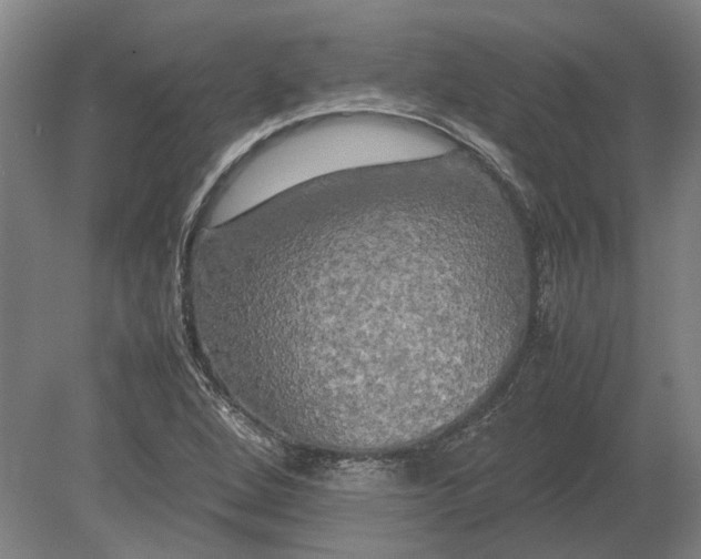 X0000080801264200701051410