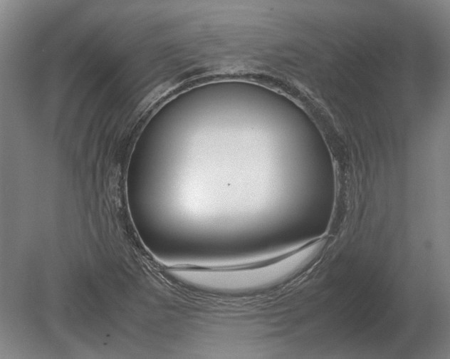 X0000080801265200701051410