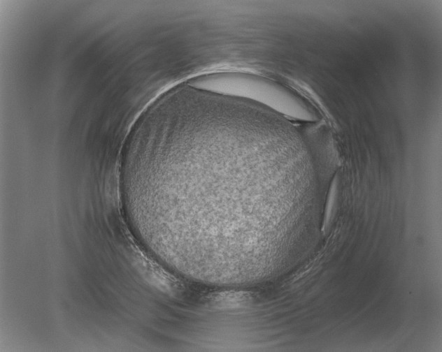 X0000080801268200701051410