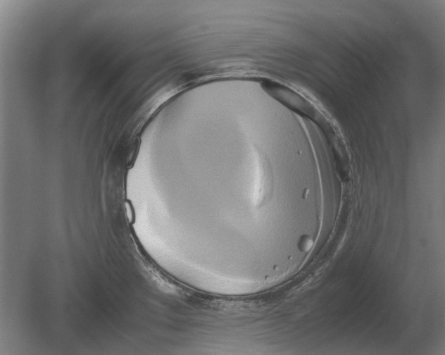 X0000080801289200701051410