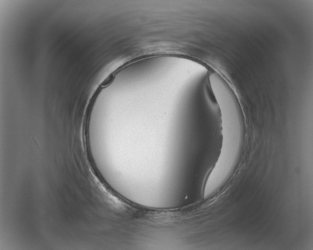 X0000080801293200701051410
