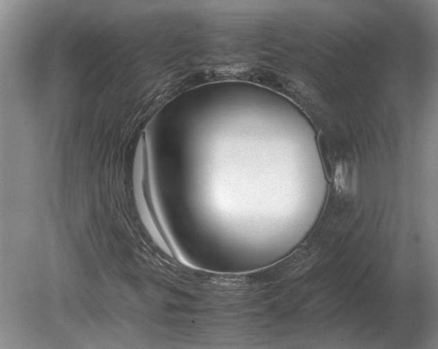 X0000080801299200701051409