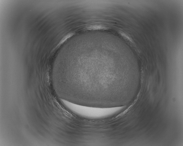 X0000080801305200701051409