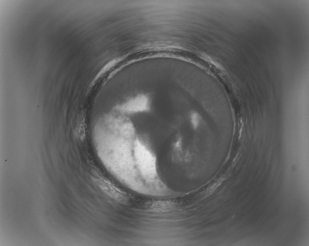 X0000080801306200701051409