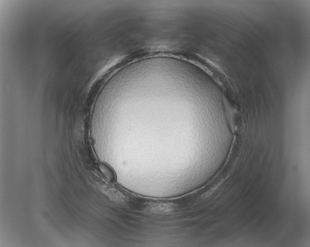 X0000080801309200701051409