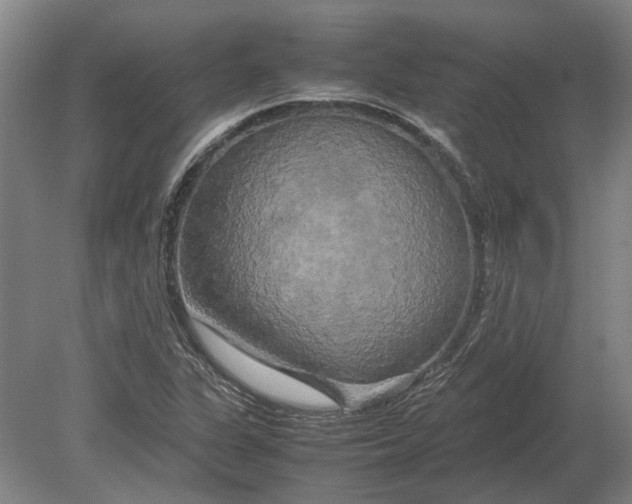 X0000080801311200701051409