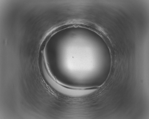X0000080801312200701051409