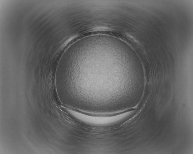 X0000080801313200701051409