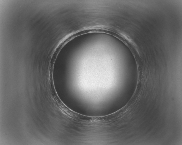 X0000080801316200701051409