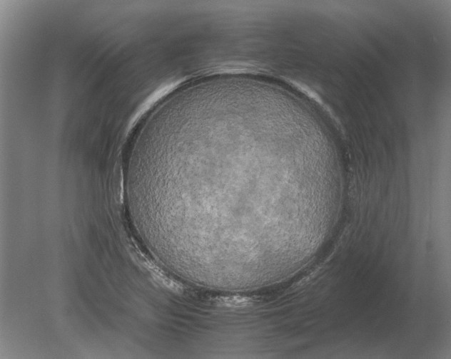 X0000080801317200701051409