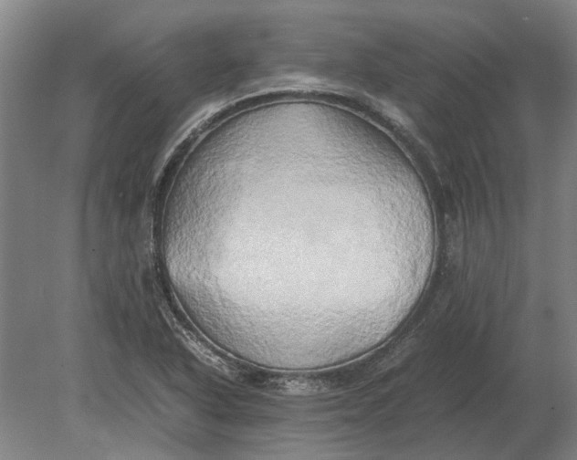 X0000080801318200701051409